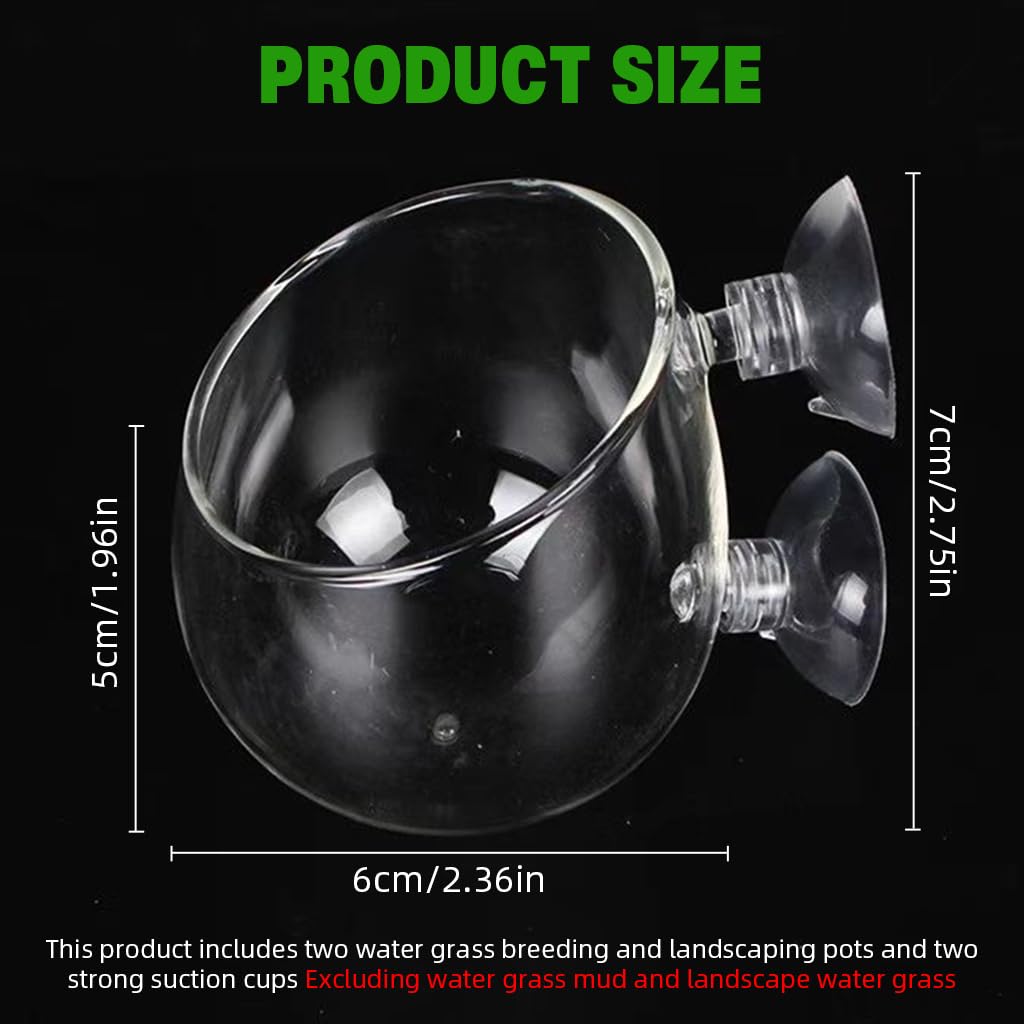 Qpets Aquatic Plant Glass Pot for Aquarium with Dual Suction Cups and Slanted Mouth | Clear Planter for Fish Tank Decor