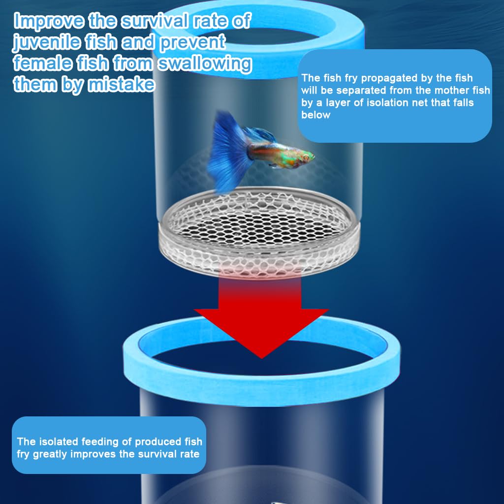 Qpets Floating Breeder Box for Fish Tank with 10cm Double Layer Design and Foam Collar | Clear Incubator for Fry Isolation