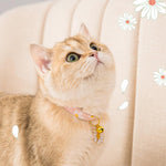 Qpets Cat Collar for Daily Wear with Quick Release Buckle and Bell | Adjustable 18–32cm Cotton