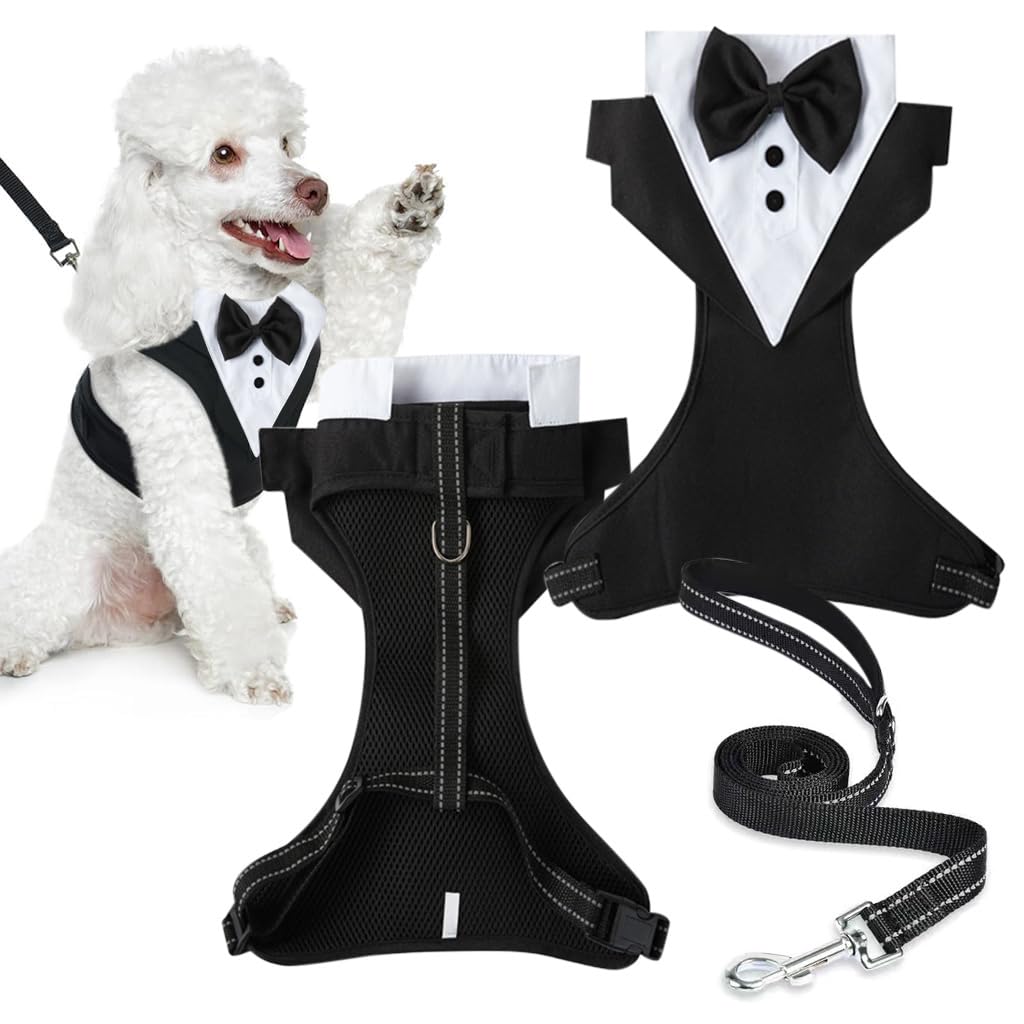 Qpets Dog Harness Set for Weddings and Birthdays with 1.5m Leash featuring 360° Swivel