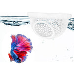 Qpets Floating Betta Fish Rest Dome with 3.9 in Hammered Cutout Design | Safe Tank Shelter