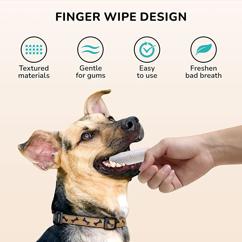Qpets Teeth Cleaning Wipes for Pets with Finger Glove Design and 50 Count | Aloe Vera and Tea Polyphenol Fresh Breath Care