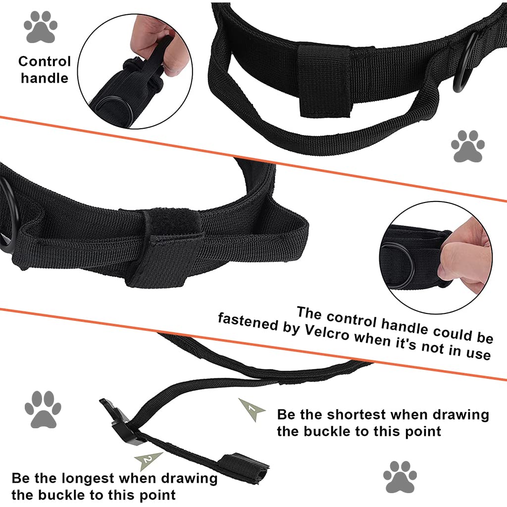 Qpets Dog Collar for Training with Quick Release Metal Buckle and Strap Handle | 19.6–23.2 in Adjustable Nylon XL