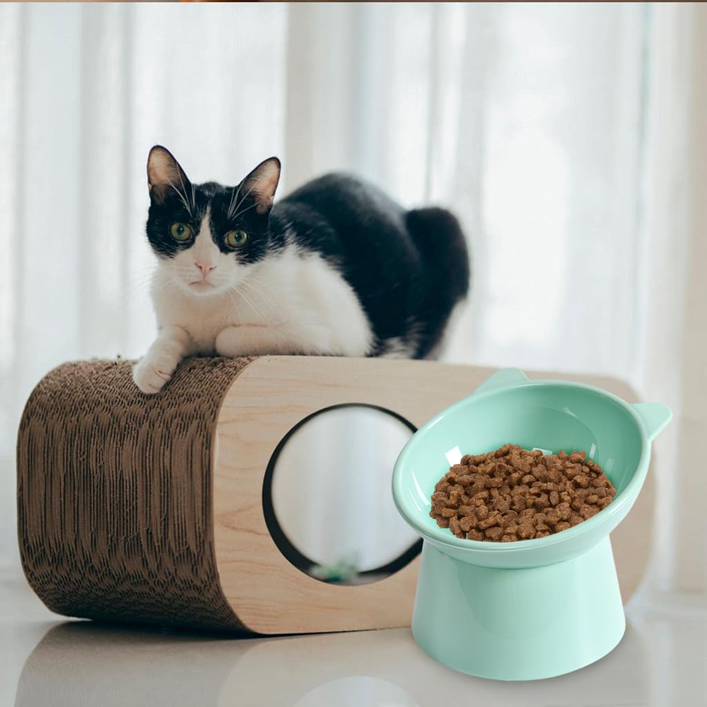 Qpets Elevated Cat Bowl for Comfortable Feeding with 4.52 in Height and Anti Tip Design | Eco Friendly Green