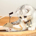 Qpets Cat Toy Interactive Set of 5 with Teaser Wand and Mouse Feathers for Kittens