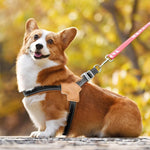 Qpets Reflective Dog Harness for Safe Night Walking with Dual D-Rings and Soft Padded Y-Shape Design