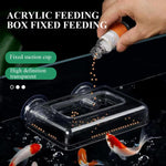 Qpets Floating Fish Feeding Ring for Aquariums with Suction Cup and Clear Acrylic Frame | Reduces Waste