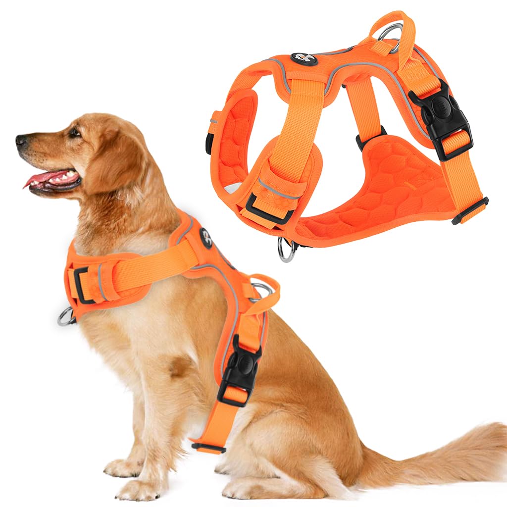 Qpets Dog Harness for Large Dogs 30–49 kg with Reflective Strips and Seat Belt Lock | Oxford Fabric Adjustable Vest