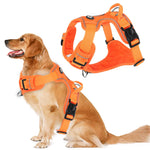 Qpets Dog Harness for Large Dogs 30–49 kg with Reflective Strips and Seat Belt Lock | Oxford Fabric Adjustable Vest