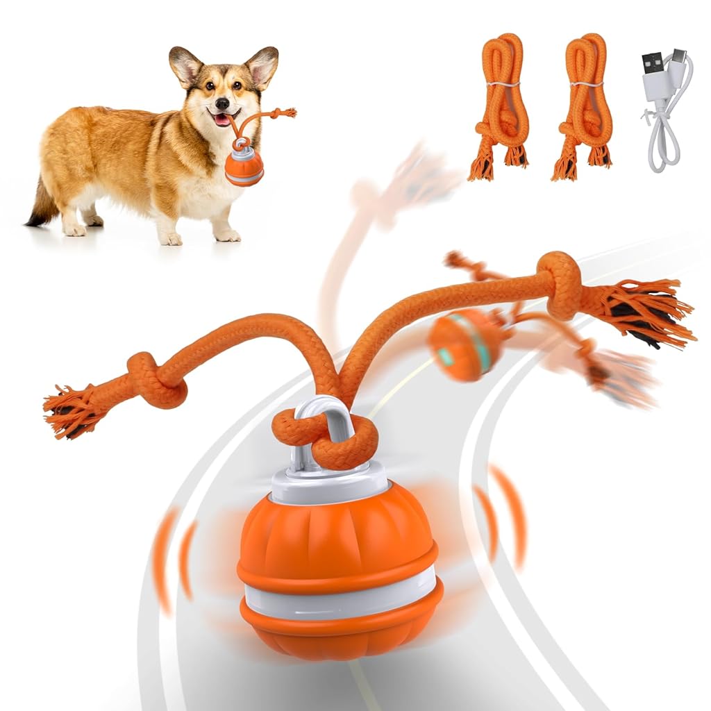 Qpets® Electric Cat Ball Toy USB Rechargeable Ball Toy Cat Teaser Toy with LED Light & Chirping Sound Fun Speedy Chasing Ball Toy with Teasing Rope Tail Self Entertainment Toy for Cats Dogs