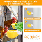Qpets Chicken Water Cups for Poultry with Auto Refill System 3.35 in Bowls | Pack of 6