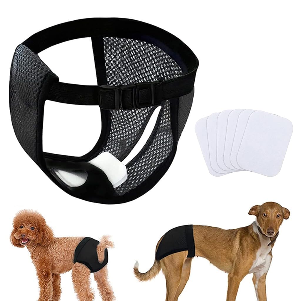 Qpets Dog Diapers for Female with 3 Cotton Pads featuring Removable Absorption Design | Breathable Mesh for Waist 15.7–19.2 in