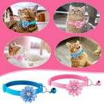 Qpets Cat Collar for Kittens and Small Dogs featuring D Ring and Bell | Adjustable 7.5–12.6 in Set