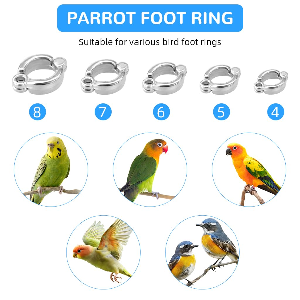 Qpets Parrot Leash for Bird Flying Training with 6.6ft Stretchy Rope and 5 Leg Loops