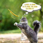 Qpets Cat Teaser Wand for Indoor Play with 19.69 in Wire & Realistic Foxtail Grass Attachment