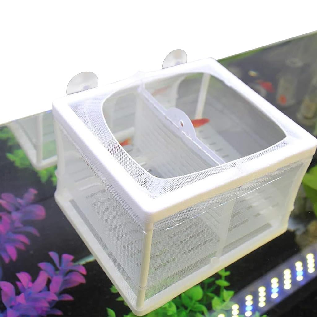 Qpets Fish Breeding Box for Betta with Suction Cups and Nylon Mesh 16x14x15CM | 3 PCS