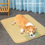 Qpets Dog Summer Mat for Indoor and Outdoor Use with Anti Slip Waterproof Bottom | 55x75CM Natural Rattan Cooling Surface