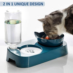 Qpets Dog Bowl for Travel and Outdoor Use with 800ml and 300ml Dual Capacity | Food‑Grade PP TPR Folding Design