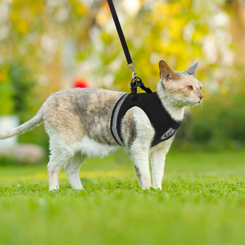Qpets Cat Harness with Leash for Walking and Jogging featuring 1.5M Leash & Reflective Strips | Adjustable Breathable Vest for Small Cats