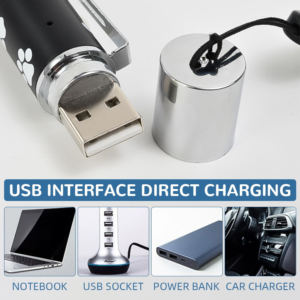 Qpets Cat Toy Laser Pointer with 5 Patterns and Integrated USB Rechargeable Pen for Cats and Dogs