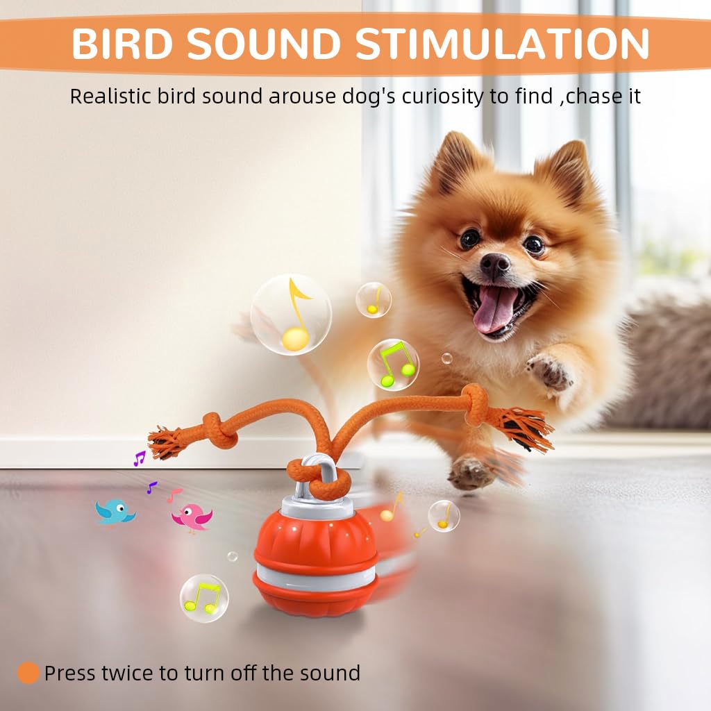 Qpets Auto Rolling Pet Ball Toy with LED Light & Birdsong featuring 360° Motion | USB Rechargeable Silicone for Indoor Play