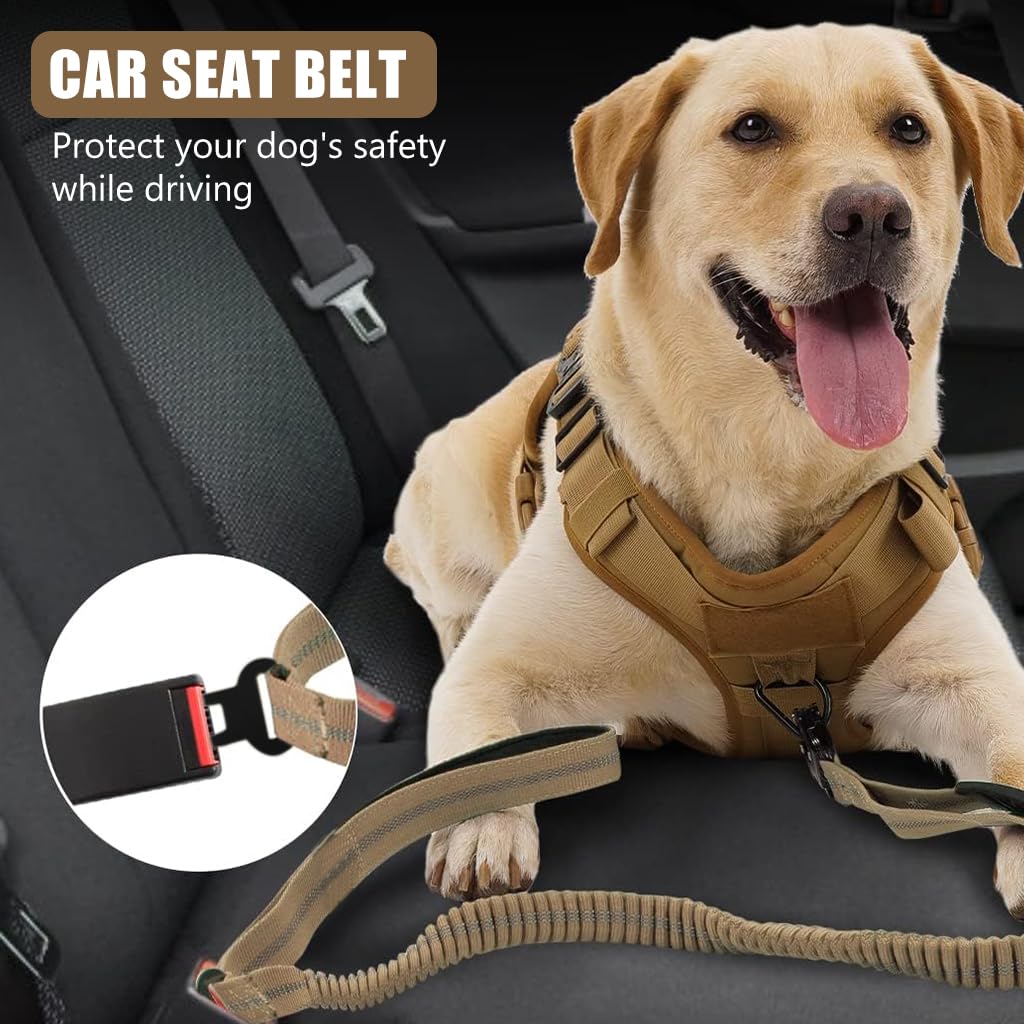 Qpets Bungee Dog Leash for Large Dogs with Dual Handles and 360° Swivel Clasp | 47–70 in Stretch