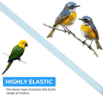 Qpets Parrot Leash for Bird Flying Training with 6.6ft Stretchy Rope and 5 Leg Loops
