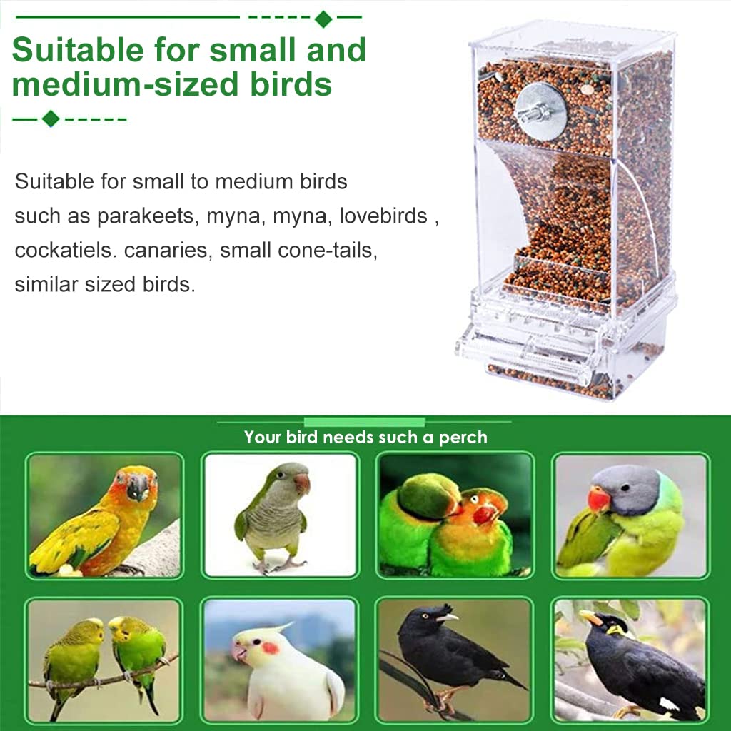 Automatic Bird Feeder for Cage, Birds Food Feeder, Birds Cage, Parrot Seed Feeders with Perch Acrylic Transparent Seed Food Container Cages for Small and Medium Lovebirds Parakeets