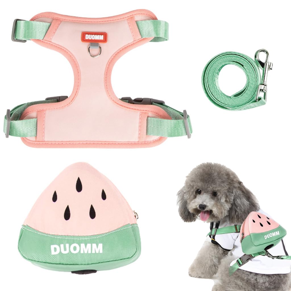 Qpets Dog Harness Vest for Small Breeds with 4 Way Adjustable Straps and Zipper Pouch | Breathable Mesh Comfort