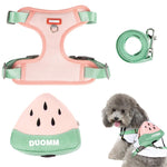 Qpets Dog Harness Vest for Small Breeds with 4 Way Adjustable Straps and Zipper Pouch | Breathable Mesh Comfort