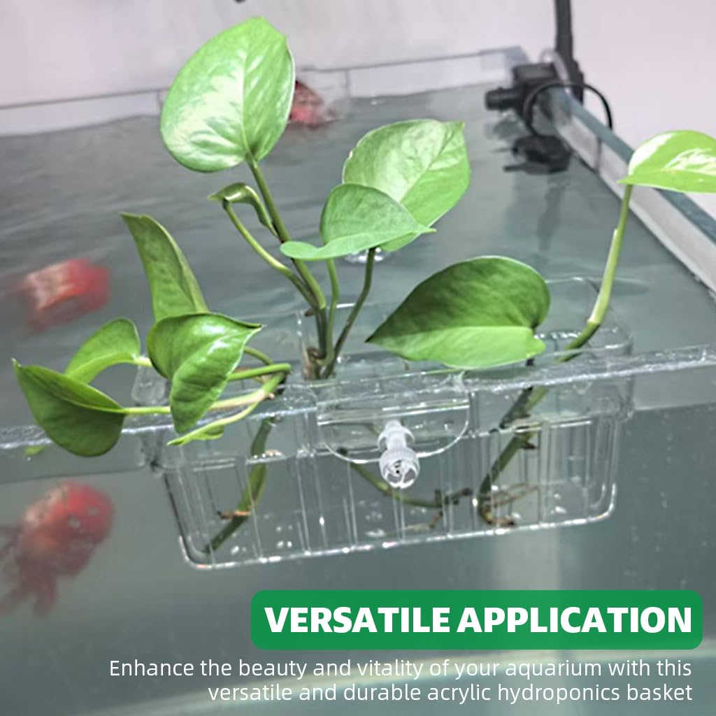 Qpets Aquarium Plant Basket for Fish Tank with 3 Compartments and Screw-Fixed Acrylic Design