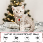 Qpets Cat Collar for Flea Prevention with 38–46 cm Adjustable Fit and Camphor Wood Balls | Red Bell Design