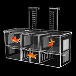 Qpets Aquarium Fish Breeding Box for Fry and Isolation with Double Layer Design 17.5x9x11cm | Clear Acrylic Floating Hatchery