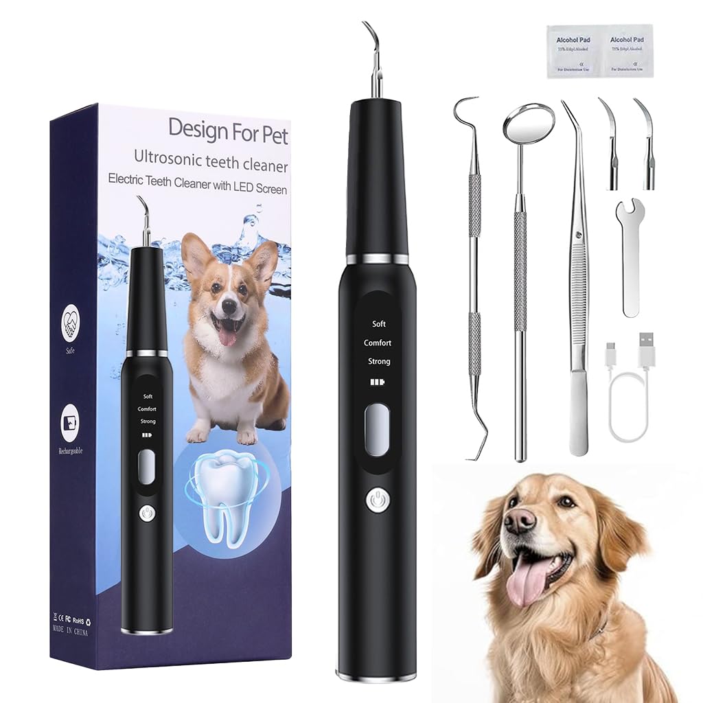 Qpets Electric Teeth Plaque Remover for Dogs with 3-Speed USB Rechargeable Design | Includes 2 Stainless Steel Tips and Dental Mirror