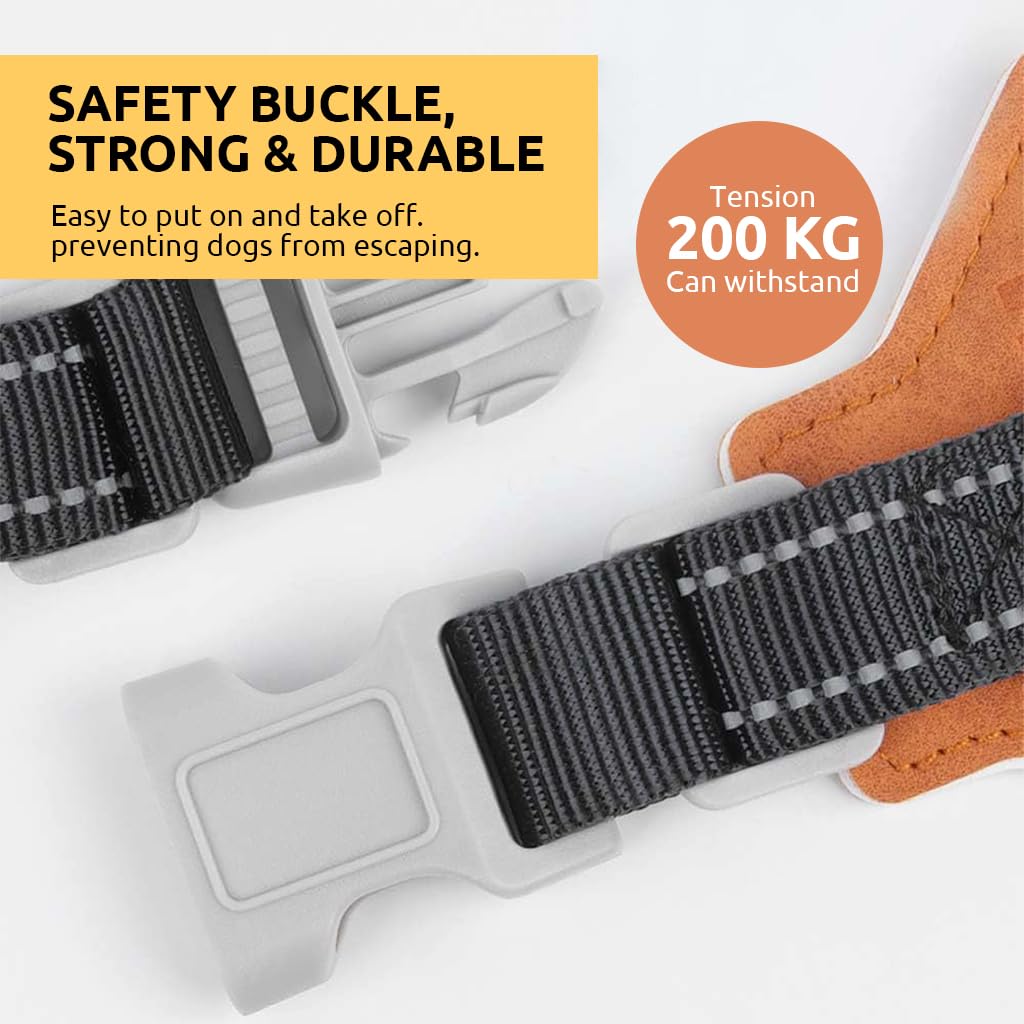 Qpets Reflective Dog Harness for Safe Night Walking with Dual D-Rings and Soft Padded Y-Shape Design