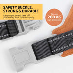 Qpets Reflective Dog Harness for Safe Night Walking with Dual D-Rings and Soft Padded Y-Shape Design