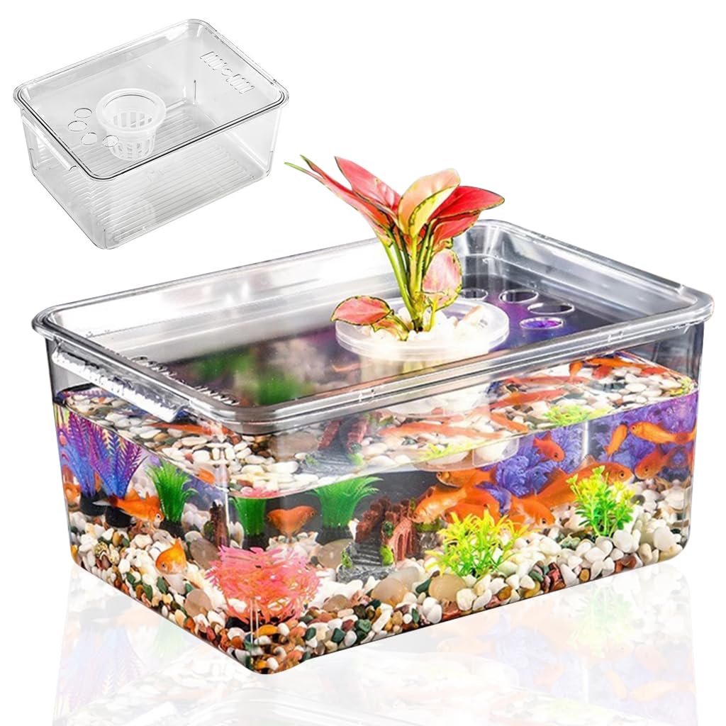 Qpets Desk Small Fish Tank for Home Office with 35x24cm Design and Air Ventilation Lid | Clear PP Betta Aquarium featuring Built in Hydroponic Basket