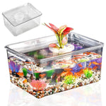 Qpets Desk Small Fish Tank for Home Office with 35x24cm Design and Air Ventilation Lid | Clear PP Betta Aquarium featuring Built in Hydroponic Basket