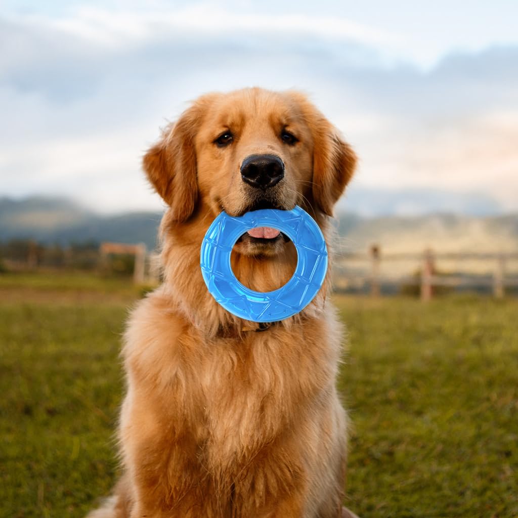 Qpets Dog Chew Toy for Summer Cooling with 5 in Circular Water Ring | Food Grade TPR