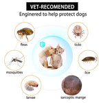 Flea and Tick Collar - 8 Month Protection Adjustable Waterproof Collar for Dog Puppy Kitten Cats, Natural & Safe Efficiently Repell Locust Lice of Pets (for Dog and Cat) (Grey)