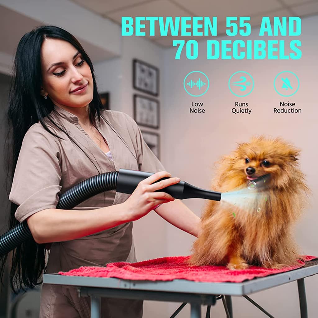 DogHair Dryer for Dogs 5.2HP/3800W Pet Grooming Dryer Adjustable Speed with Three Nozzle Quick Dry Pet Hair Dryer