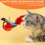 Qpets Door Hanging Cat Toy for Indoor Cats with 190cm Elastic Rope & Feather Tail | Interactive Squeaky Bird Teaser