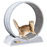 Qpets Cat Exercise Wheel for Running and Walking with Removable Scratcher Track 80x34cm | Silent Bearings and Anti Slip Base