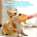 Qpets Dog Toy 6.3 in Round Rattle Toy with Squeaky Sound and Soft Plush for Cats and Dogs