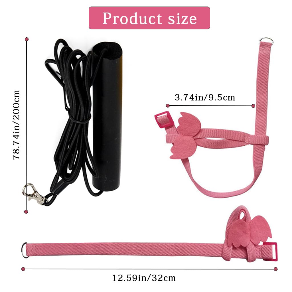 Qpets Pet Parrot Harness for Outdoor Flying with 2 m Elastic Leash and Quick Release Strap | Lightweight Adjustable Design