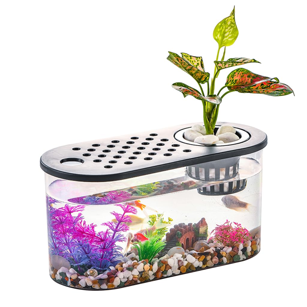 Qpets Betta Fish Tank for Home and Office Decor featuring Hydroponic Pot and Air Lid 32cmX16cm