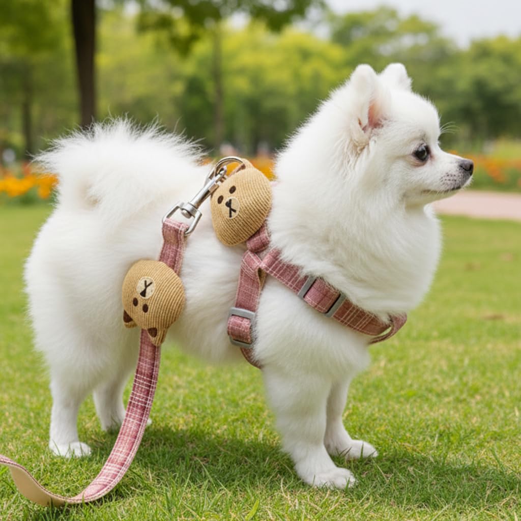 Qpets No Pull Dog Harness and Leash Set with Dual D Rings and 1.2m Tangle Free Swivel Clasp for Medium Dogs