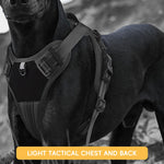 Qpets Adjustable Dog Harness for Walking with No Pull Design & Seat Belt Buckle | Reflective PU Mesh Vest L 18.1–24.8 in