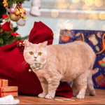 Qpets Cat Collar with Bell for Daily Wear featuring Quick Release Buckle and Pink Bow 19–30cm