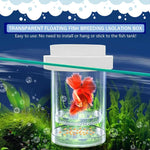 Qpets Betta Fish Breeding Box for Fry Rearing with Anti Escape Mesh PET Plastic | 2 Pcs Floating Design